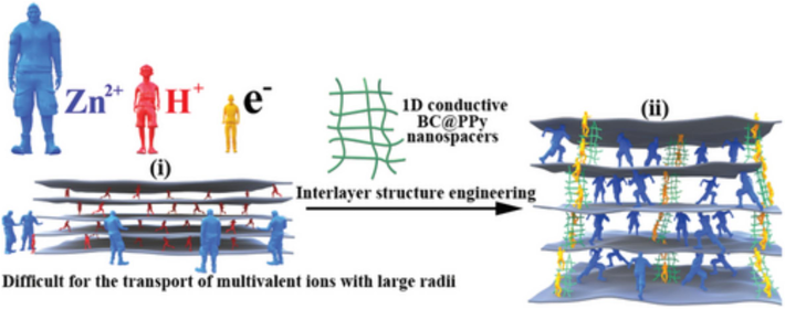 An illustration of the MXene hybrid film's suggested interlayer structure engineering: (i) the well-known challenge of intercalating multivalent ions like Zn2+ that have a large ionic radius. Since the introduction of the smaller, more conventional hydrogen ions, this issue has not been as serious. (ii) Large ions can be inserted and deintercalated quickly and reversibly by inserting 1D nanospacers, which increase the gap between MXene nanosheets. Enhancement of electron flow between loose MXene nanosheets is also achieved by the nanospacers. Cheng et al. (Cheng et al., 2021).