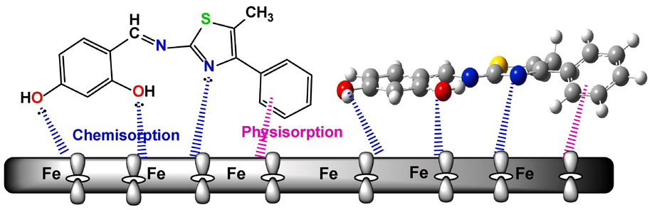 Adsorption mechanism of Schiff bases molecule 3c on carbon steel surface in 0.5 M H2SO4.