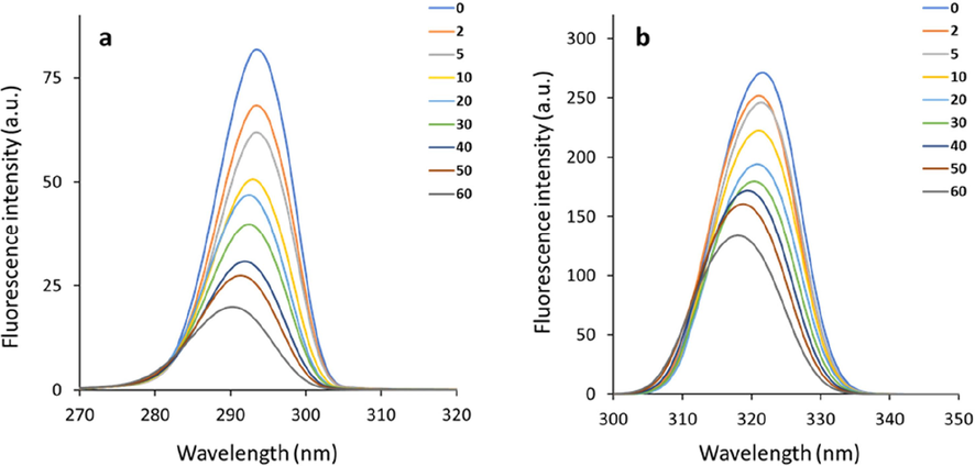 Synchronous fluorescence spectra of HSA's Tyr (Δλ = 15 nm, a) and Trp (Δλ = 60 nm, b) residues following interaction with increasing concentrations of the echinacoside.