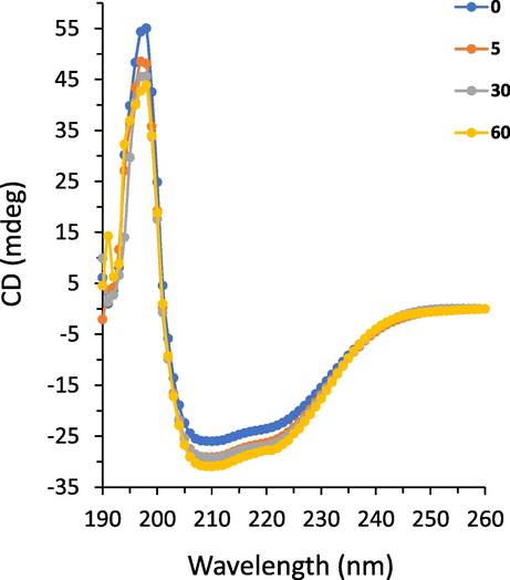 CD spectra of HSA following interaction with increasing concentrations of the echinacoside.