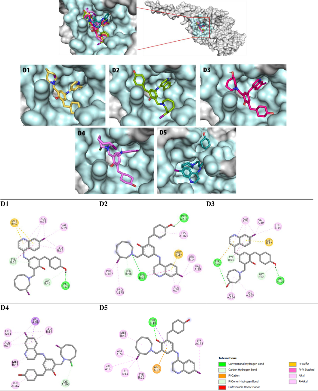 2D and 3D representation of the interactions of ligands D1-D5 within EBOV-GP binding pocket.