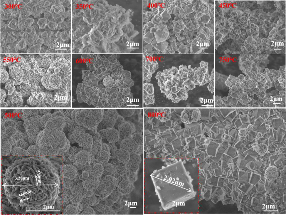 Typical SEM variation images of zeolite samples synthesized with different alkali fusion temperatures(300 °C -800 °C), where NaX zeolite was synthesized at 400 °C, HS at 500 °C, and NaA zeolite at 800 °C.