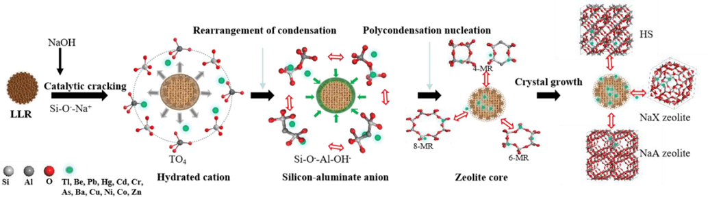 Mechanism of toxic elements encapsulation during zeolite condensation growth map.