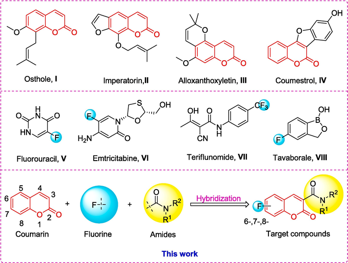 Design of the coumarin amide derivatives bearing fluorine.