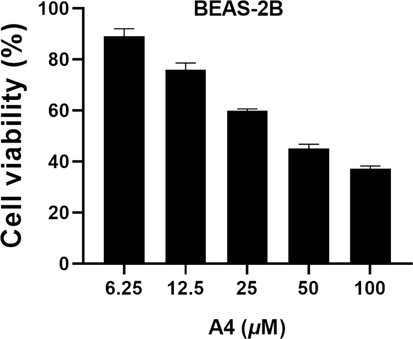 Cell viability of BEAS-2B treated with compound A4.