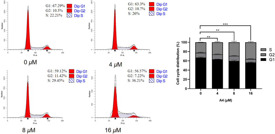 Effect of compound A4 on cell cycle in Hela cells. Flow cytometry of Hela cells treated with A4 for 48 h. (** p < 0.01, *** p < 0.001).