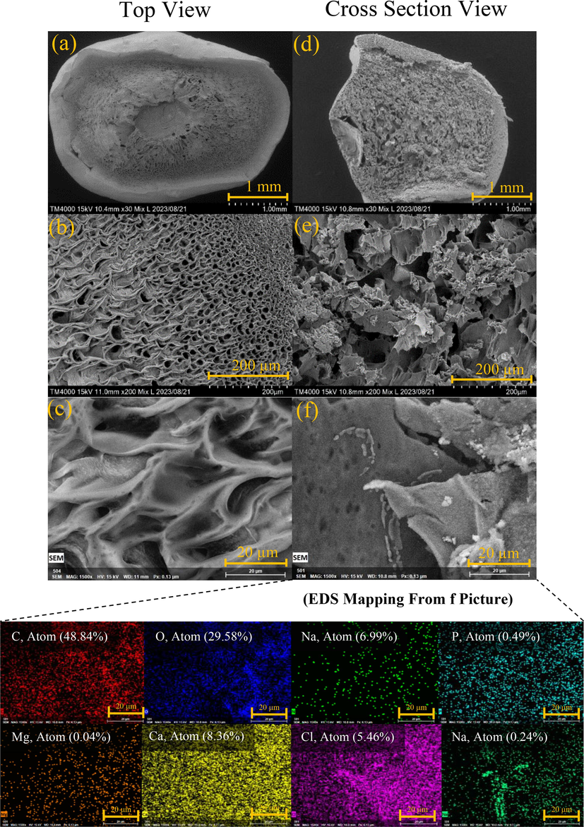 SEM picture and EDS mapping of Sa@S hydrogel bead.