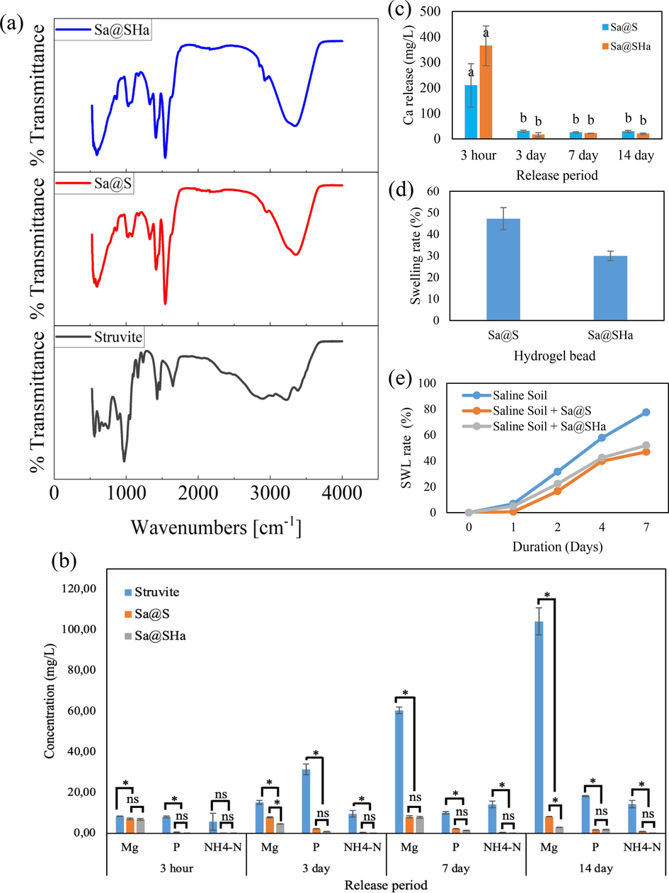 (a) FTIR spectra of struvite pH 9.0, Sa@S, and Sa@SHa (b) Comparison nutrient release from struvite pH 9.0, Sa@S, and Sa@SHa (c) Ca release from hydrogel beads (Sa@S and Sa@SHa) (d) Swelling rate of Sa@S and Sa@SHa (e) Soil water loss of Sa@S and Sa@SHa under salinity. *Indicates statistically significant at a significance level of P ≤ 0.05; ns denotes no significant difference in Tukey's test.