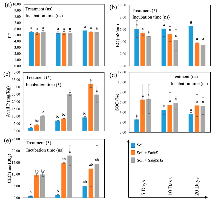 Soil characteristics (pH, EC, available P, SOC, and CEC) in saline soil regarding hydrogel beads application at different incubation times. The vertical bars indicate the mean standard error. Avail: Available. Control: soil only, Sa@S: soil + Sa@S samples, Sa@SHa: soil + Sa@SHa samples. Statistically significant at a significance level of P ≤ 0.05 in Tukey's test.