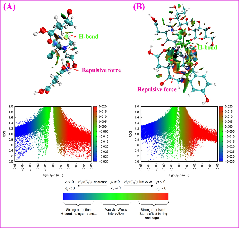 The 2D and 3D non-covalent interaction plots. (A) Ch-Lea, (B) Ch-Lea and naringin molecules.