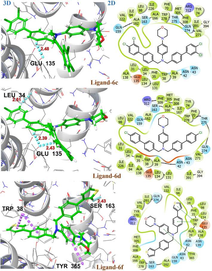 2D and 3D representation of ligands 6c, 6d and 6f with target protein S2VA in outward open state (PDB ID: 3O7P).