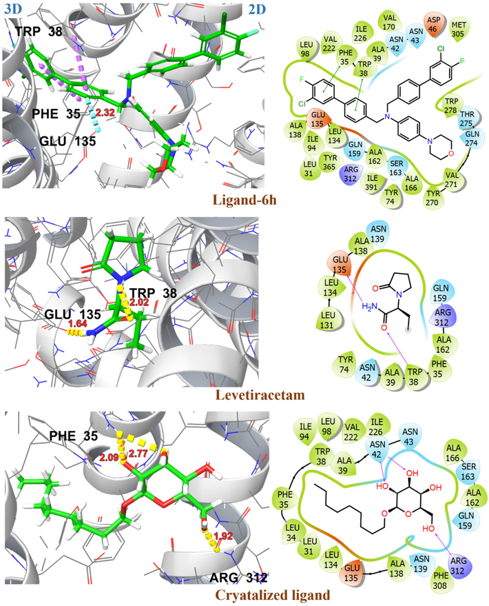 2D and 3D representation of ligands 6 h, levetiracetam and crystallized ligand with target protein S2VA in outward open state (PDB ID: 3O7P).