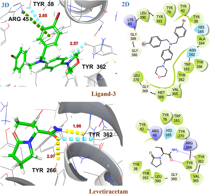 2D and 3D representation of ligand 3 and levetiracetam with target protein SV2A in the inward open state (PDB ID: 1PW4).