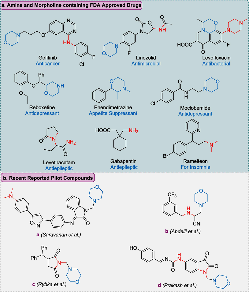 Summary of Morpholine and amine containing FDA approved drugs and some recently reported morpholine amine based anti-epileptic drugs.