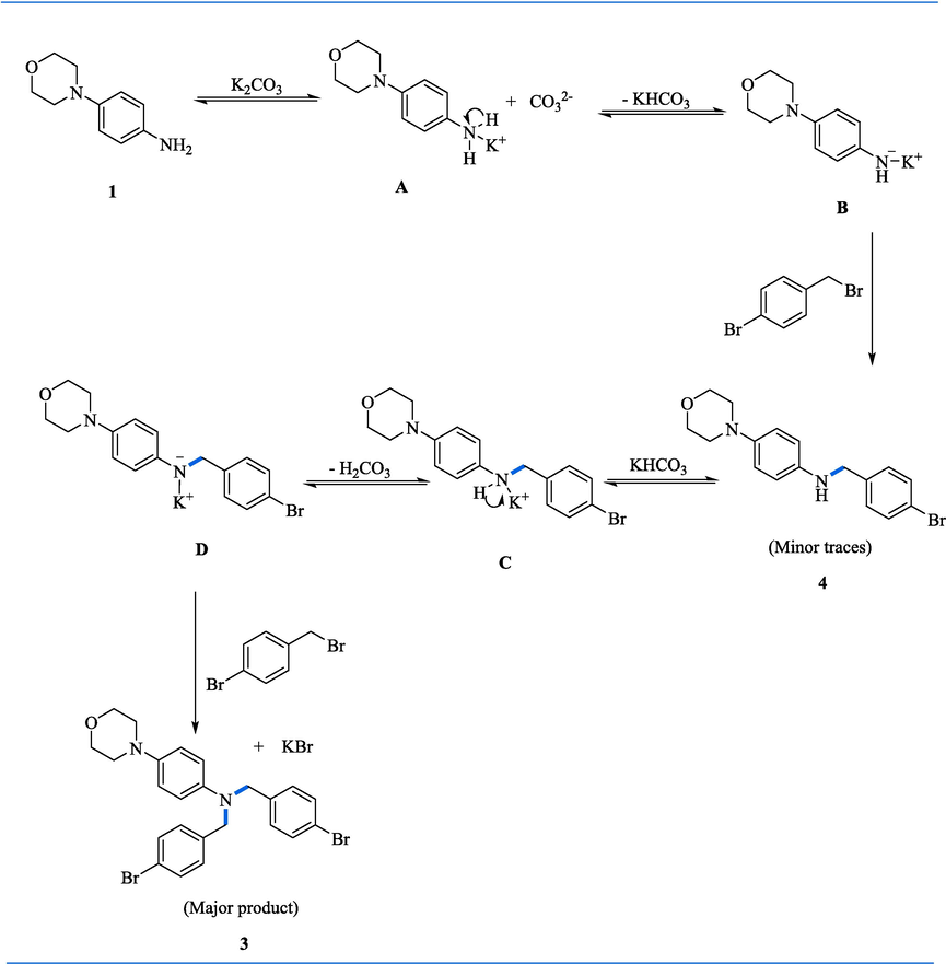 Proposed mechanism of C-N alkylation of morpholine anilines.