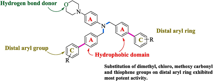 SAR of synthesized compounds (6a-h, 7i).
