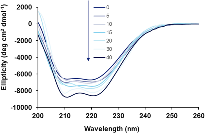 Far-UV CD (200–260 nm) for the interaction of HSA (5 µM) with different concentrations of rhamnazin ranging from 5 to 40 µM at room temperature.