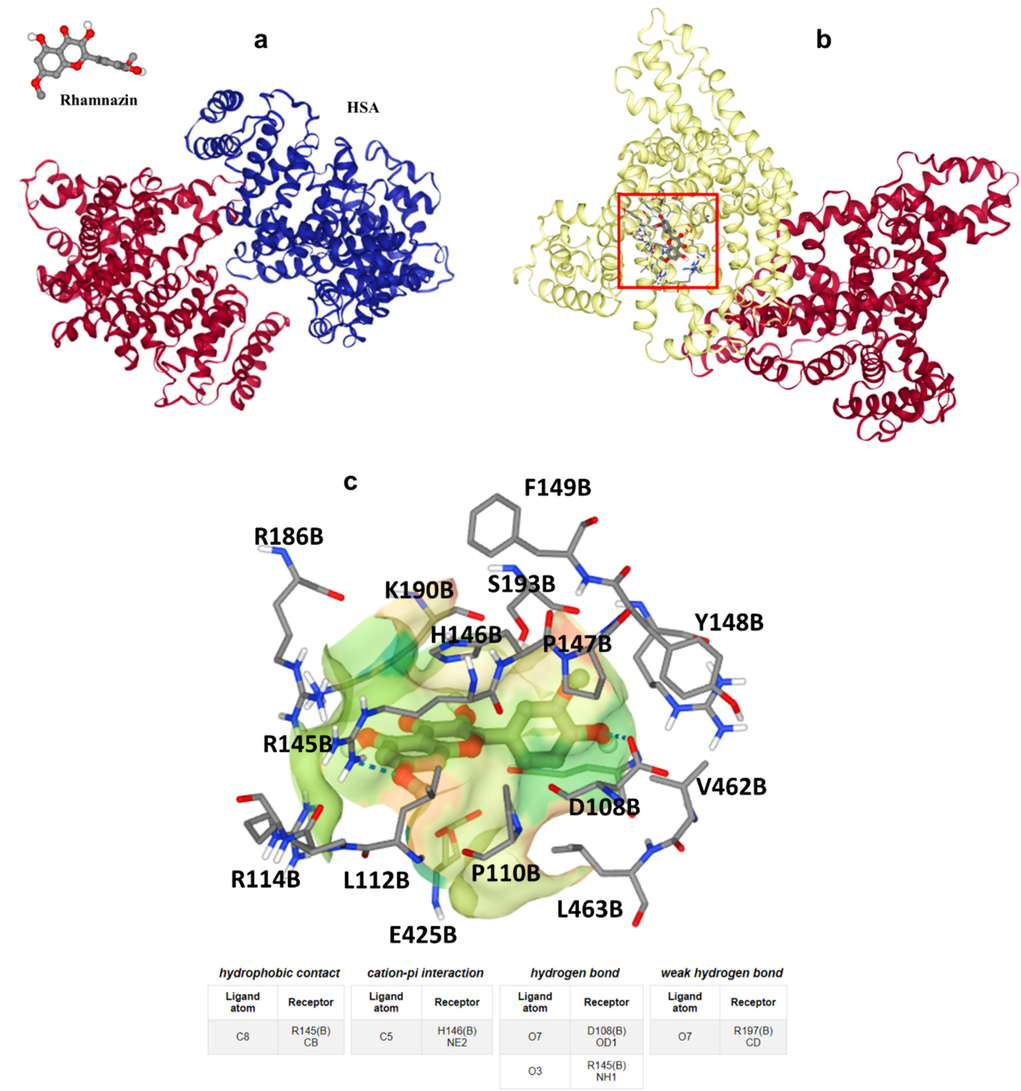 (a) Rhamnazin and HSA structures, (b) binding site of HSA upon interaction with rhamnazin, (c) amino acid residues in the binding pocket.