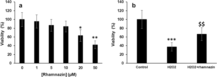 Cell viability was assessed by the MTT assay. (a) Incubation of HK2 cells with increasing concentrations of rhamnazin for 24 h. (b) Incubation of cells with H2O2 (0.5 mM), or co-incubation of HK2 cells with H2O2 (0.5 mM) and rhamnazin (10 µM) for 24 h. All data are expressed as means ± SD. *P < 0.05, **P < 0.01, ***P < 0.001, relative to untreated negative control cells; $$P < 0.01 relative to H2O2-treated cells.