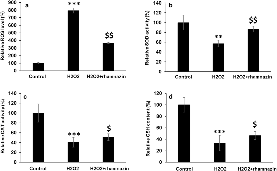 Antioxidant properties of rhamnazin after incubation of HK2 cells with H2O2 (0.5 mM) or co-incubation with H2O2 (0.5 mM) and rhamnazin (10 µM) for 24 h. (a) ROS activity, (b) SOD activity, (c) CAT activity, (d) GSH content. All data are expressed as means ± SD. **P < 0.01, ***P < 0.001, relative to untreated negative control cells; $P < 0.05, $$P < 0.01 relative to H2O2-treated cells.
