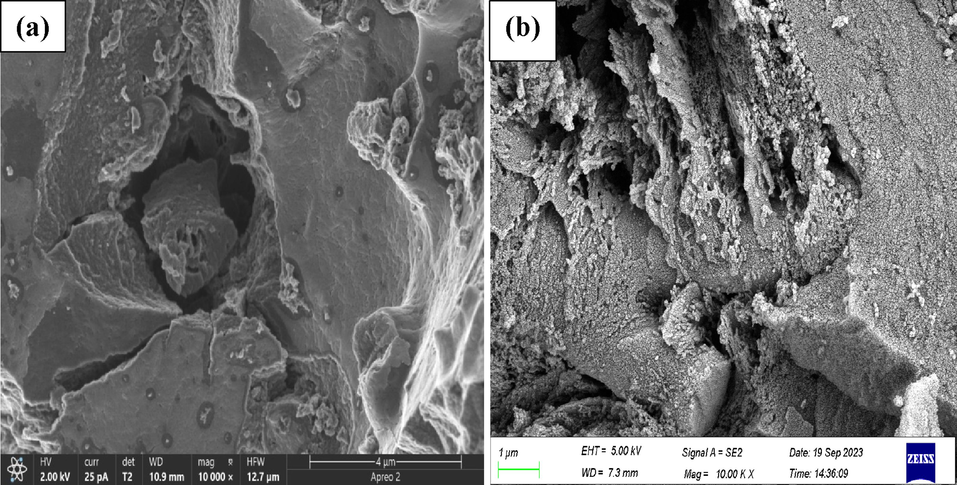 SEM micrographs of (a) fresh and (b) reused EAC-3H-2T samples.