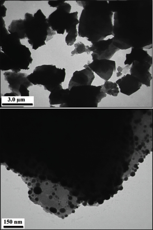 TEM images of Au NPs/Kaolin.