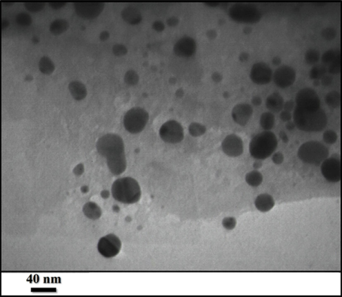 TEM image of Au NPs/Kaolin.