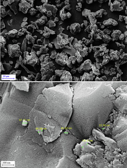 FE-SEM images of Au NPs-Kaolin.