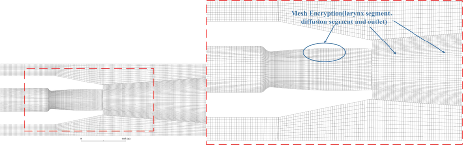 Flow field meshing results.