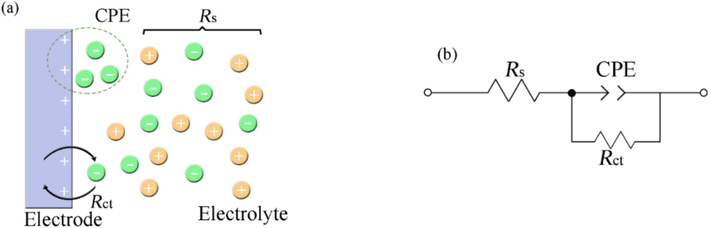 (a) Schematic diagram of electrode/electrolyte interface, and (b) equivalent circuit for analyzing EIS data.