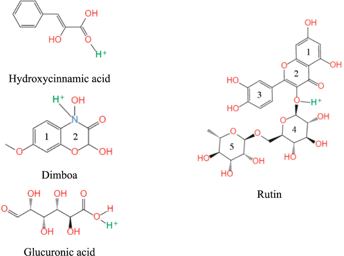 Geometric equilibrium configurations of the optimal protonated components in ZMBE.