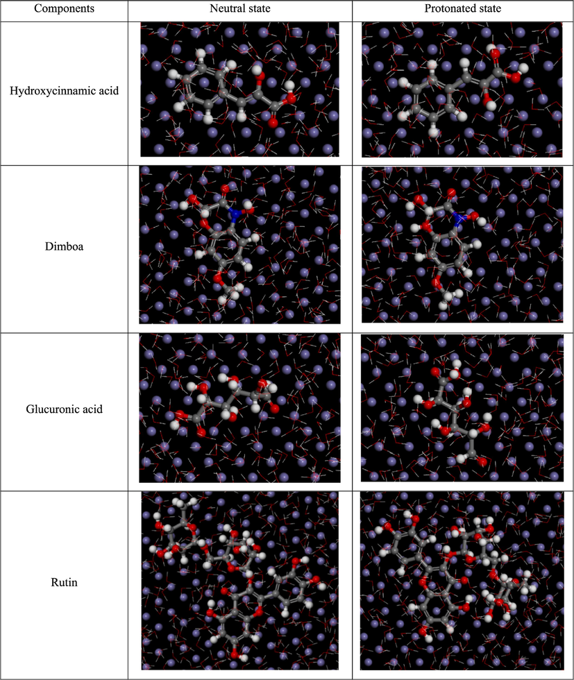 Snapshot of top view of final equilibrium configurations of the active ingredients on the Fe(1 1 0) plane.