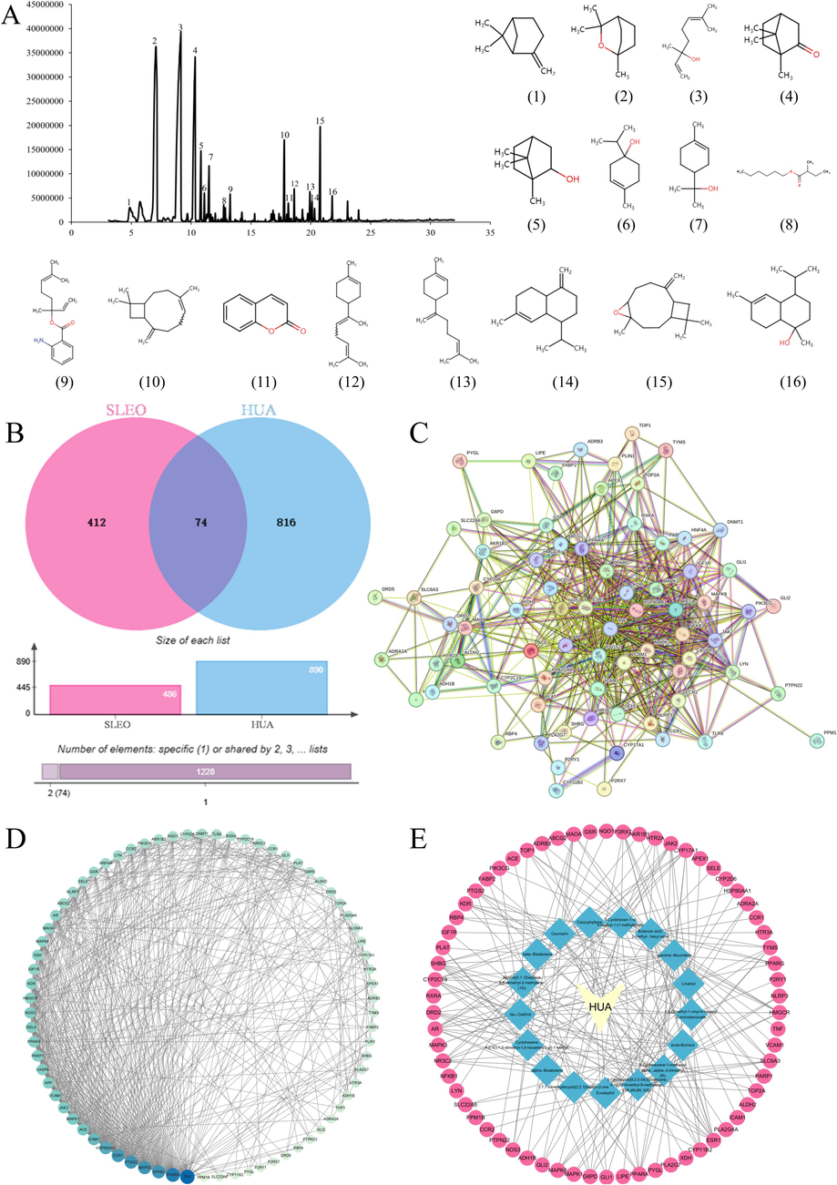 SLEO active ingredient identification A. Total ion flow diagram of SLEO (1–16 is the structure of active ingredient No. 1–16 in SLEO) B. Cross-targeting map of SLEO and hyperuricemia C. Protein interaction visualization network diagram D. Protein interaction degree value ranking E. “Target–disease” visualization network diagrams.