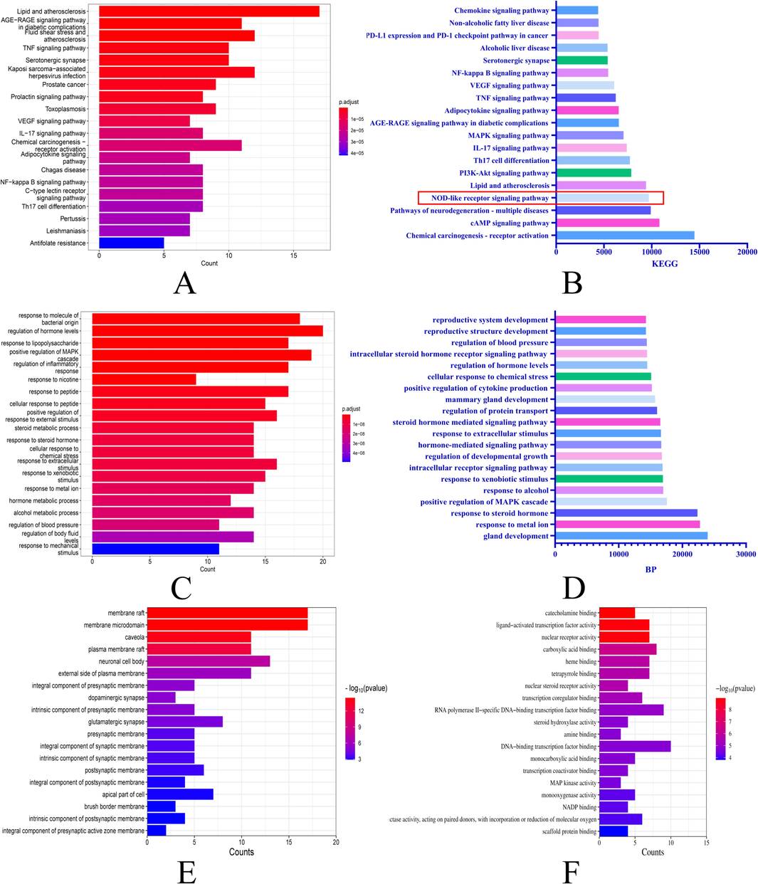 Changes in the ordering of KEGG pathways and BPs after introducing weighting coefficients A. KEGG pathways predicted by network pharmacology B. Reordering of KEGG pathways after introducing weighting factors C. BPs predicted by network pharmacology D. Reordering of BPs after introducing weighting factors E. Cellular components predicted by network pharmacology F. Molecular functions predicted by network pharmacology.