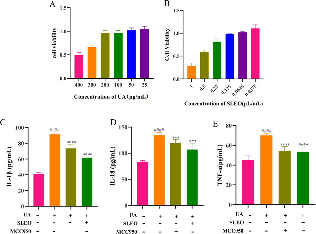 Effects of SLEO on UA-induced HK-2 cells A. Effect of UA on cell viability. B. Effect of SLEO on cell viability. C. Levels of IL-1β in cell supernatants. D. Levels of IL-18 in cell supernatants. E. Levels of TNF-α in cell supernatants (Standard deviation ± mean (n = 6), *P<0.05, **P<0.01, ***P<0.001, ****P<0.0001 vs. Model group., #P<0.05, ##P<0.01, ###P<0.001, ####P<0.0001 vs. Control group.).