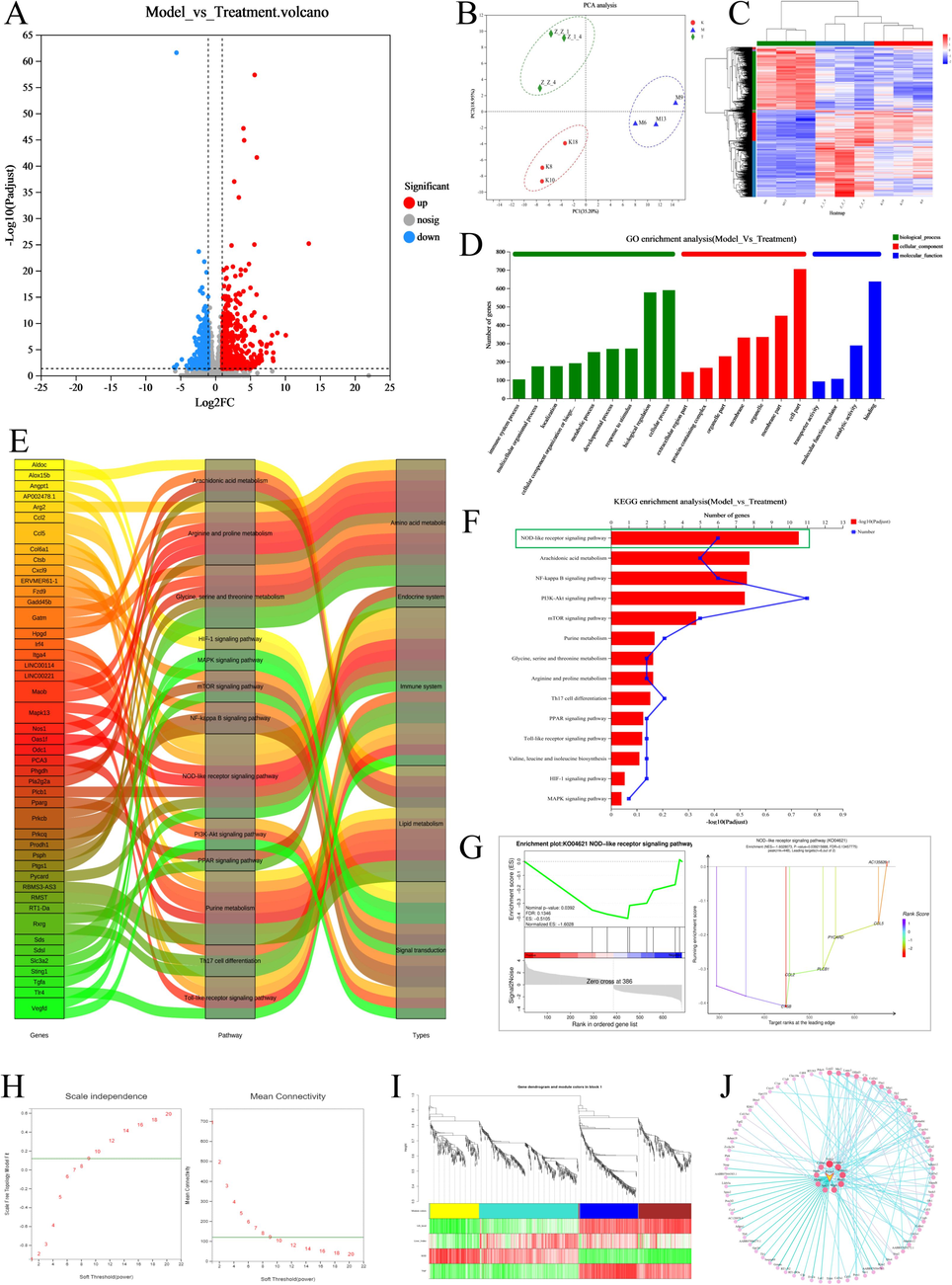 Transcriptome and WGCNA sequencing results A. Volcano plots of differential genes between the model and blank groups, showing both up- and downregulated genes B. PCA clustering plot of transcriptome sequencing samples demonstrates correlation between the samples C. Heatmap of differential gene clustering across groups. Analysis of gene clustering in each group of samples D. GO enrichment of BP, CC, and MF in the set of differential genes after the administration of SLEO E. Sankey diagrams show the major pathways through which SLEO might act and the key targets within them. F. The main KEGG pathways enriched in the set of differential genes between the model and the SLEO groups. G. GSEA of the NOD-like receptor signaling pathway. H. The soft threshold was set at 9, where the green horizontal line indicates the correlation coefficient of 0.8 I. Correlation analysis between traits and modules J. Mining of hub genes in the turquoise module visualization network.