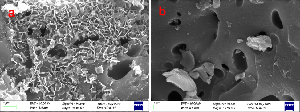 SEM images:(a) AC-MB; (b) ACN-MB.