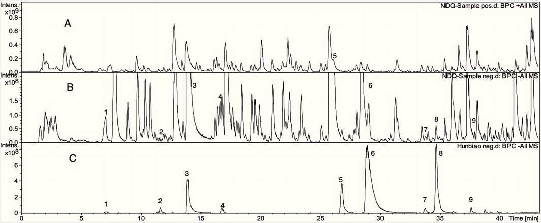 UCG's positive (A) and negative (B) ion base peak chromatograms (BPC), and the reference compounds in positive ion mode (C). 1-Danshensu, 2-Caffeic acid, 3-Paeoniforin, 4-Liquiritin, 5-Liquiritigenin, 6-Luteolin, 7-Aloe-emodin, 8–10,15-Oct adecadienoic, 9-Rhein.