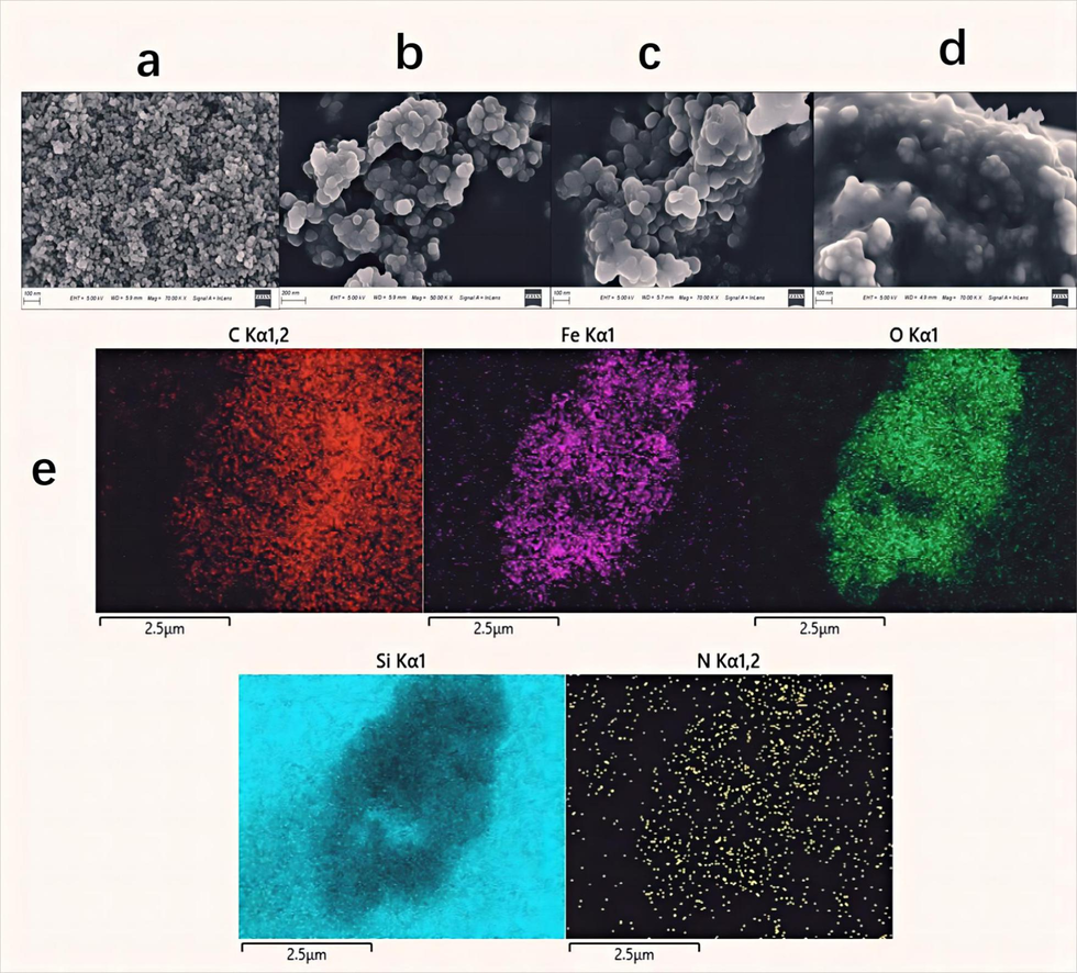 SEM images of Fe3O4 (a), Fe3O4@SiO2 (b), Fe3O4@SiO2@NH2 (c), Fe3O4@SiO2@NH2@ α-Glucosidase (d), and EDX mapping of different elements in the Fe3O4@SiO2@NH2@α-Glucosidase (e).