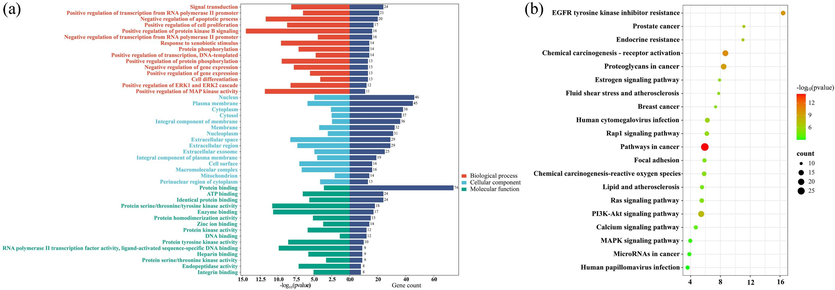 (a) GO biofunctional enrichment analysis of key targets of anti-inflammatory effect of T. hemsleyanum; (b) Bubble map of KEGG enrichment pathways.