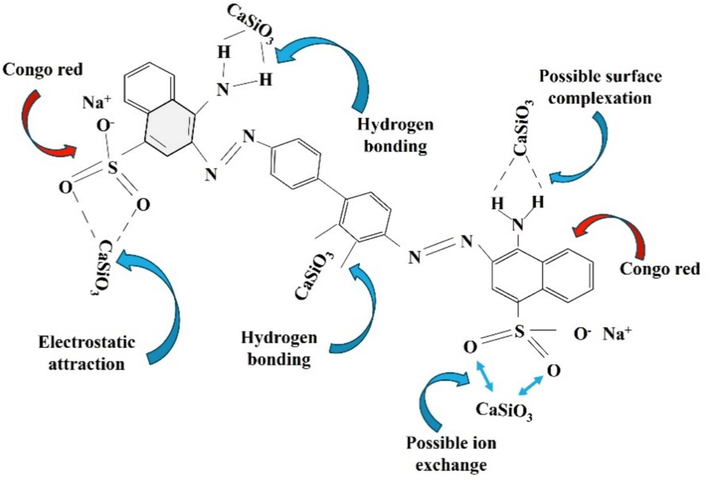 Congo red dye adsorption mechanism by CaSiO3. (For interpretation of the references to colour in this figure legend, the reader is referred to the web version of this article.)