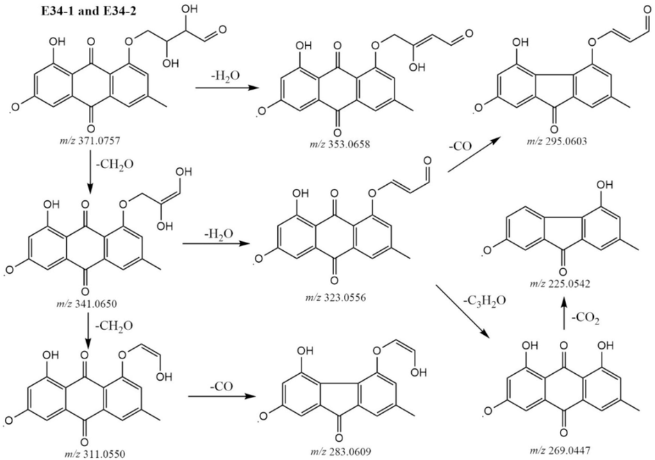 The proposal fragmentation pathways of compounds E34-1 and E34-2.