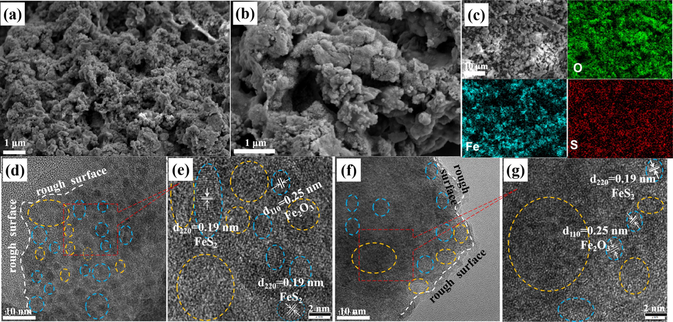 (a-b) SEM, (c) elemental mapping (d, f) TEM, and (e, g) HRTEM of FeS2 after OER.