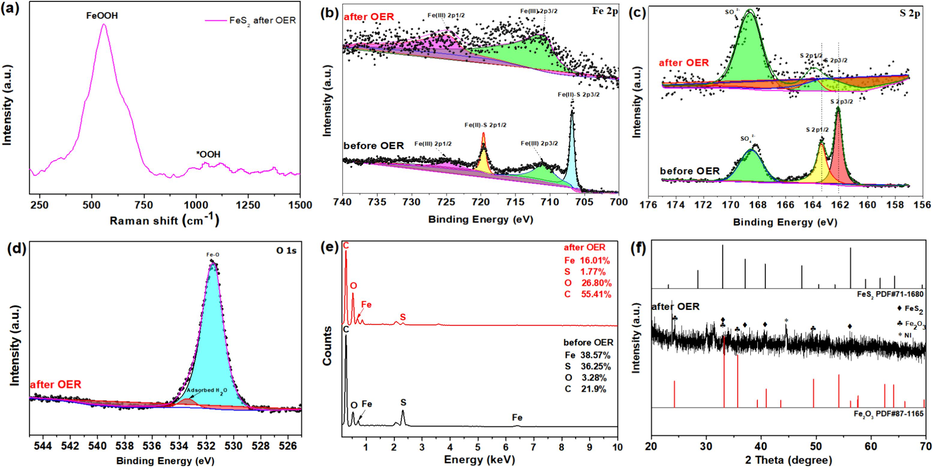 (a) Raman spectrum of FeS2 after OER process, XPS spectra of (b) Fe 2p (c) S 2p (d) O 1 s (e) the percentages of Fe, S, O, and C, (f) XRD patterns with FeS2 after OER.