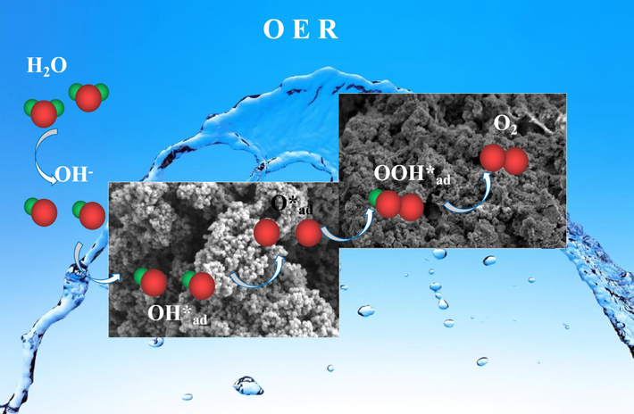 OER process in FeS2 electrocatalysts.