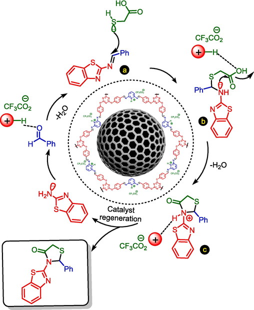 The suggested mechanistic route for the synthesis of 2,3-disubstituted thiazolidine-4-ones by using Fe3O4@COF-TFA as a catalyst.