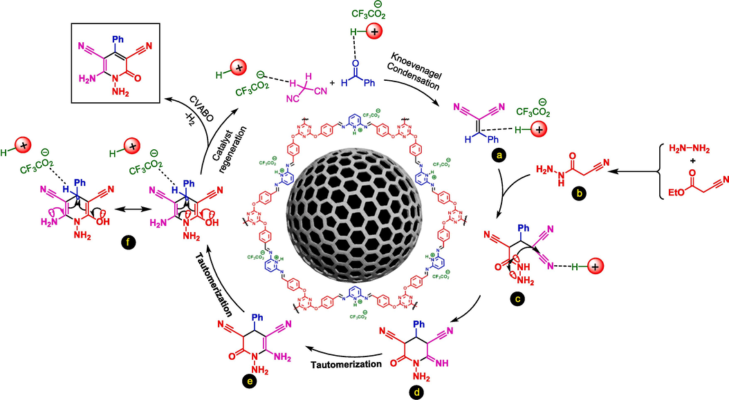 The suggested plausible mechanism for the preparation of N–amino-2-pyridones by using Fe3O4@COF-TFA as a catalyst.