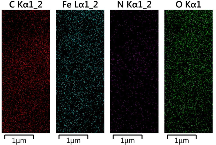 Elemental distribution of Fe3O4@COF.