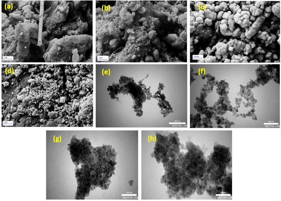 FESEM images of Fe3O4@COF (a, b), Fe3O4@COF-TFA (c, d) and TEM images of Fe3O4@COF (e, f) and Fe3O4@COF-TFA (g, h).