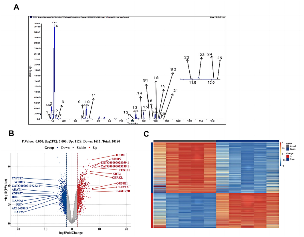 Determination of HSBD sample content components and differential gene acquisition in patients with severe COVID-19. A. MRM profiles of 25 compounds and internal standards in HSBD. 1. Quercetin-3-O-beta-D-glucose-7-O-beta-D-gentiobioside; 2.Isorhamnetin-3-O-beta-D-Glucoside; 3.Pseudoephedrine Hydrochloride; 4.Ephedrine Hydrochloride; 5.Amygdalin; 6. p-Hydroxybenzoic acid; 7.Gentianic acid; 8.Calycosin-7-O-beta-D-glucoside; 9.Hyperoside; 10.Glycyrrhizin; 11.Sinapic acid; 12.Astragaloside; 13.Glycyrrhetinic acid; 14.AloeEmodin; 15.Rhein; 16.Paeoniflorin; 17.Magnolol; 18.Emodin; 19.Honokiol; 20.Pogostone; 21.Hederagenin; 22.Chrysophanic acid; 23.Physcion; 24.Pachymic acid; 25.Atractylon; S1. Cinobufagin; S2. Glibenclamide. B. Differential gene volcano map for COVID-19 severe patients. In this plot, genes are denoted as points, with red indicating up-regulation, blue indicating down-regulation, and gray highlighting no significant difference in expression between severe and normal samples.C. Differential Gene Heat Map for COVID-19 severe patients. Each small square represents each gene, and its color indicates the expression level of the gene, the higher the expression level, the darker the color (red is high expression, blue is low expression). The first row indicates the sample grouping, gray indicates Normal samples and dark blue indicates Severe samples. Each row indicates the expression of each gene in different samples, and each column indicates the expression of all differential genes in each sample.